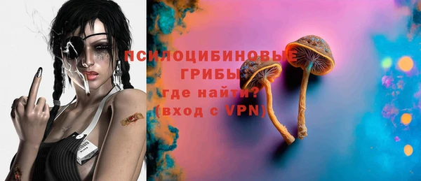 прущие грибы Алексеевка