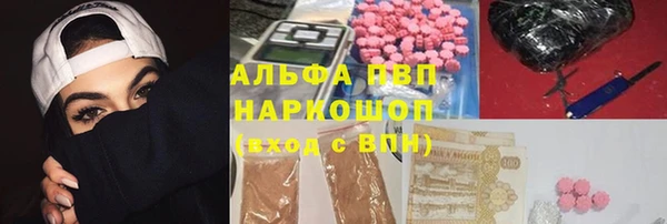 гидра Алексин